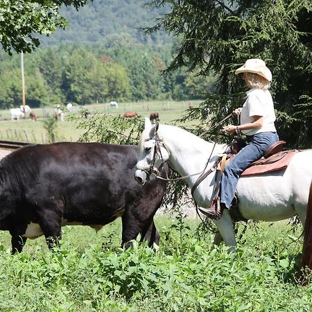 فندق Del Rioفي  French Broad Outpost Ranch المظهر الخارجي الصورة